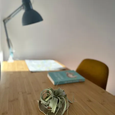 Cilantro Przy Starym Rynku Apartment *